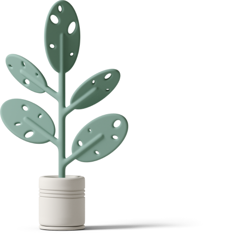green plant with holes in white pot